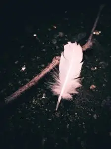 A delicate white feather resting on dark soil next to a twig, captured close-up.